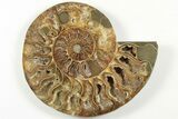 Cut & Polished, Agatized Ammonite Fossil - Madagascar #200138-4
